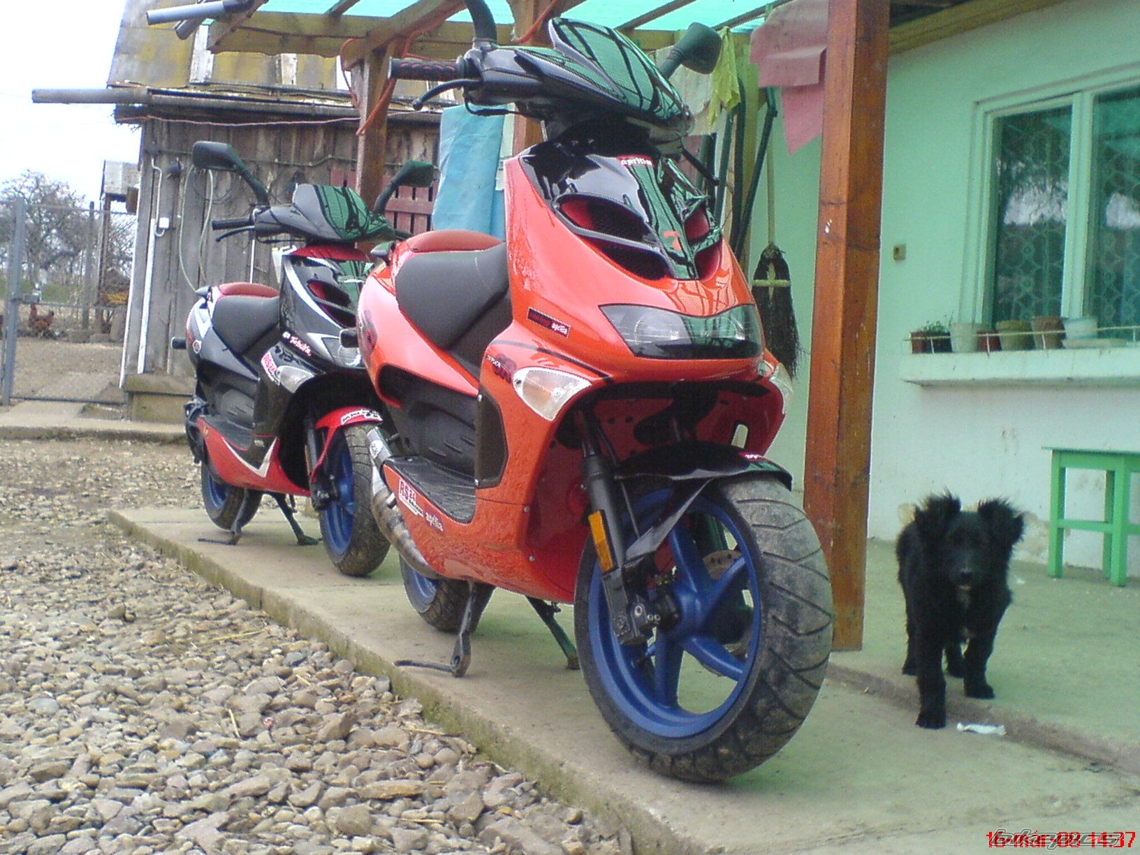 Photo 1225368