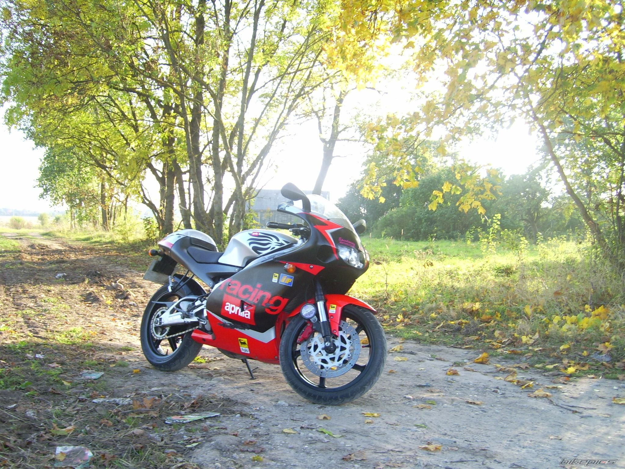 Photo 1225378