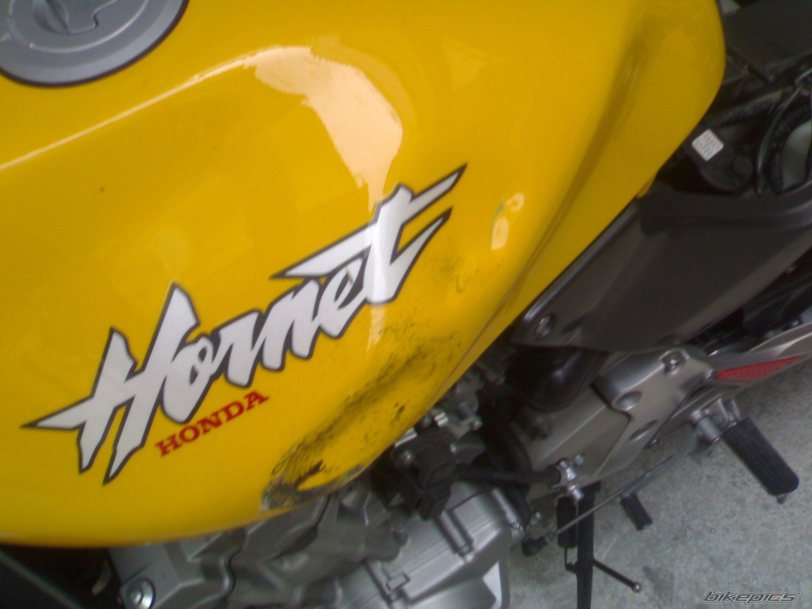 Photo 1225405