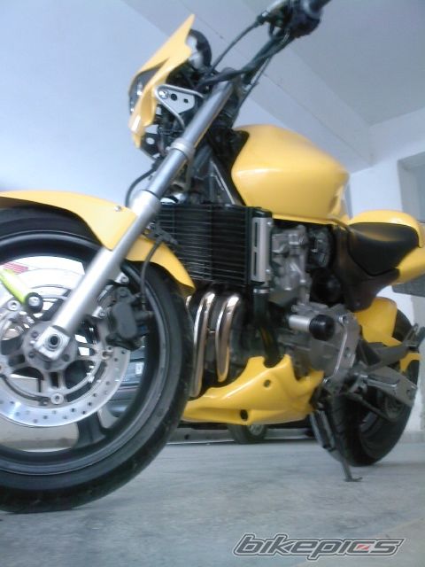 Photo 1225481