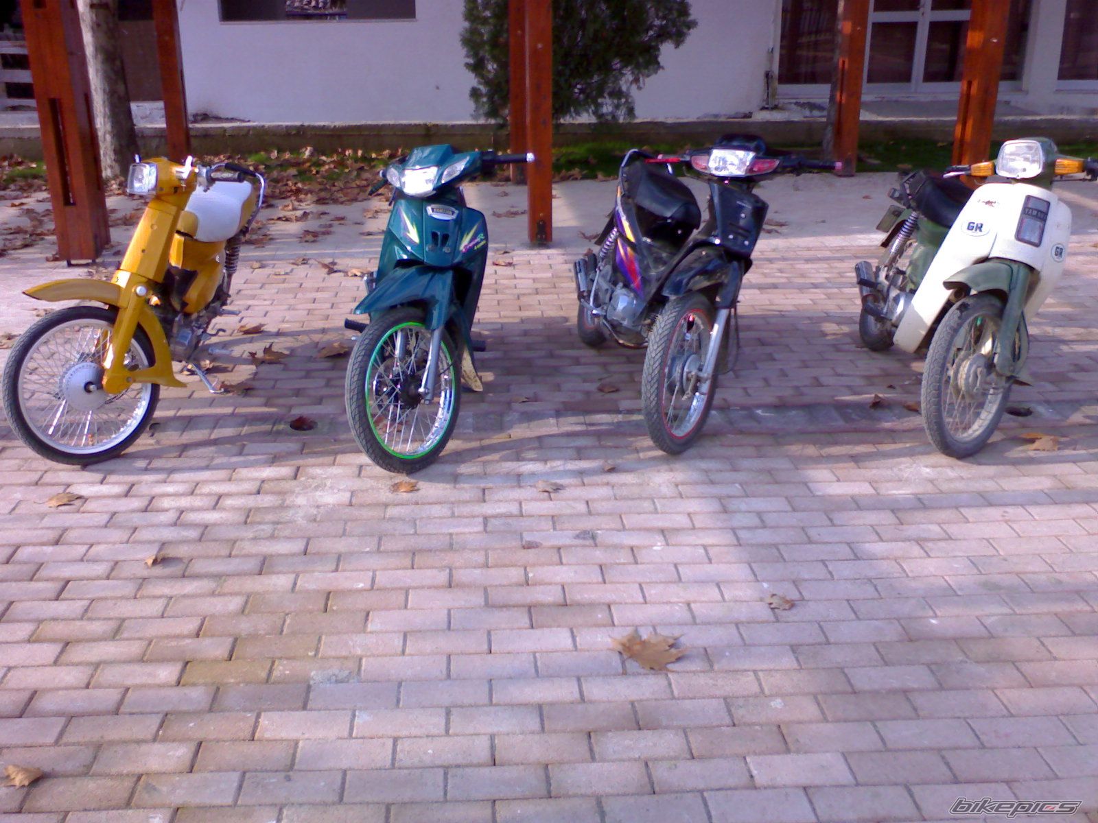 Photo 1225528