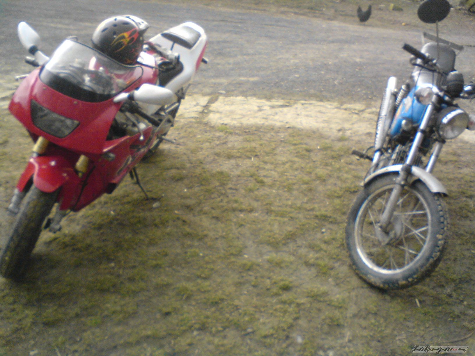 Photo 1225751