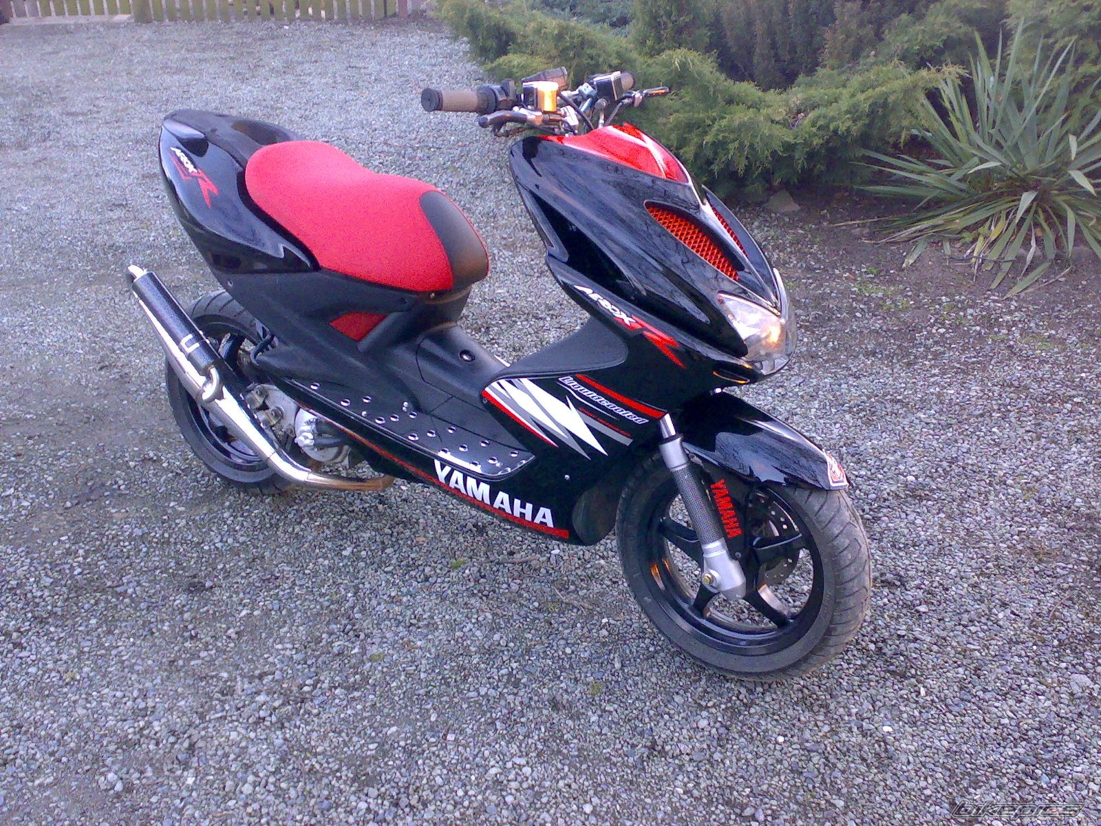 Photo 1225781