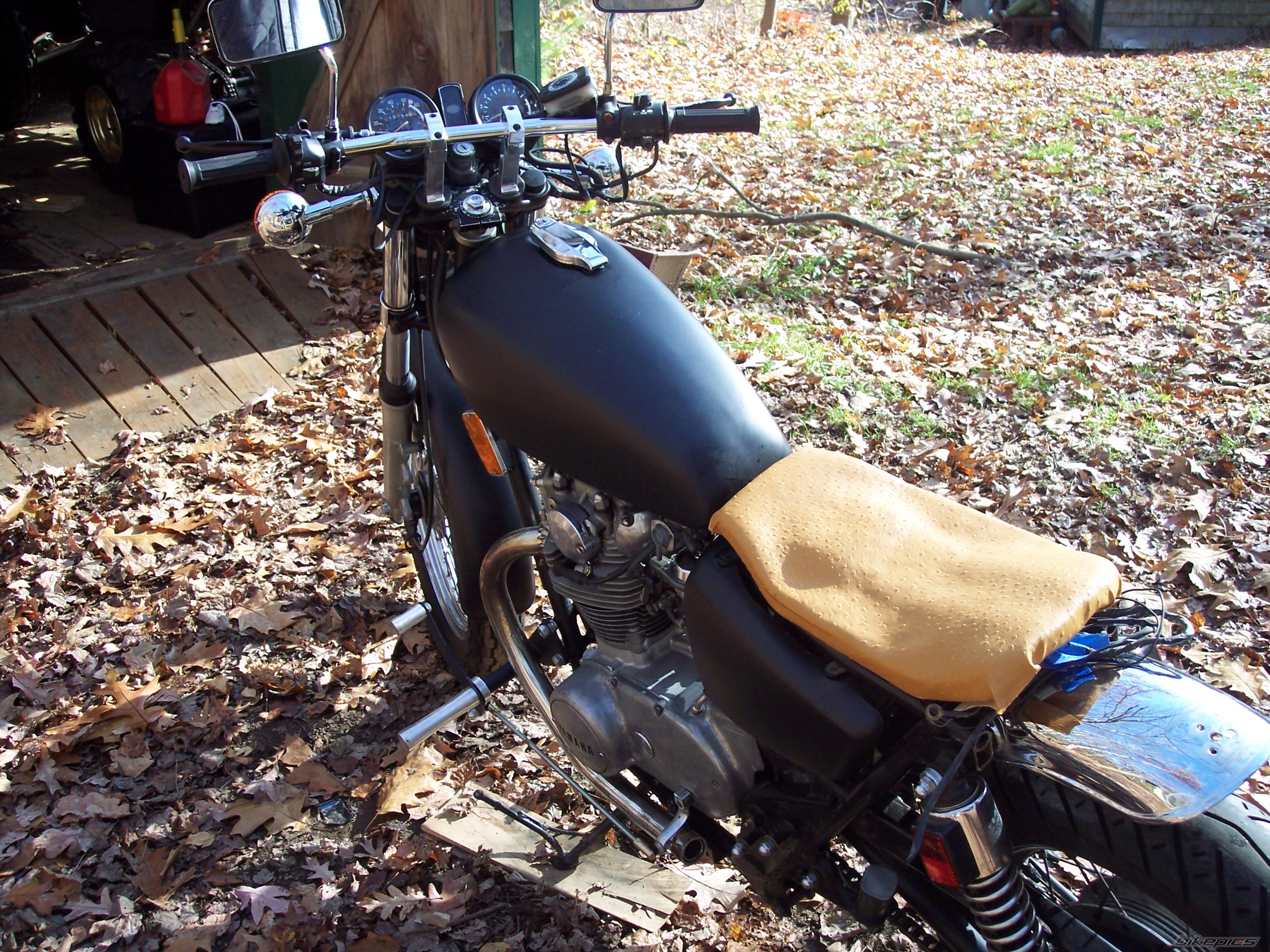 Photo 1225788