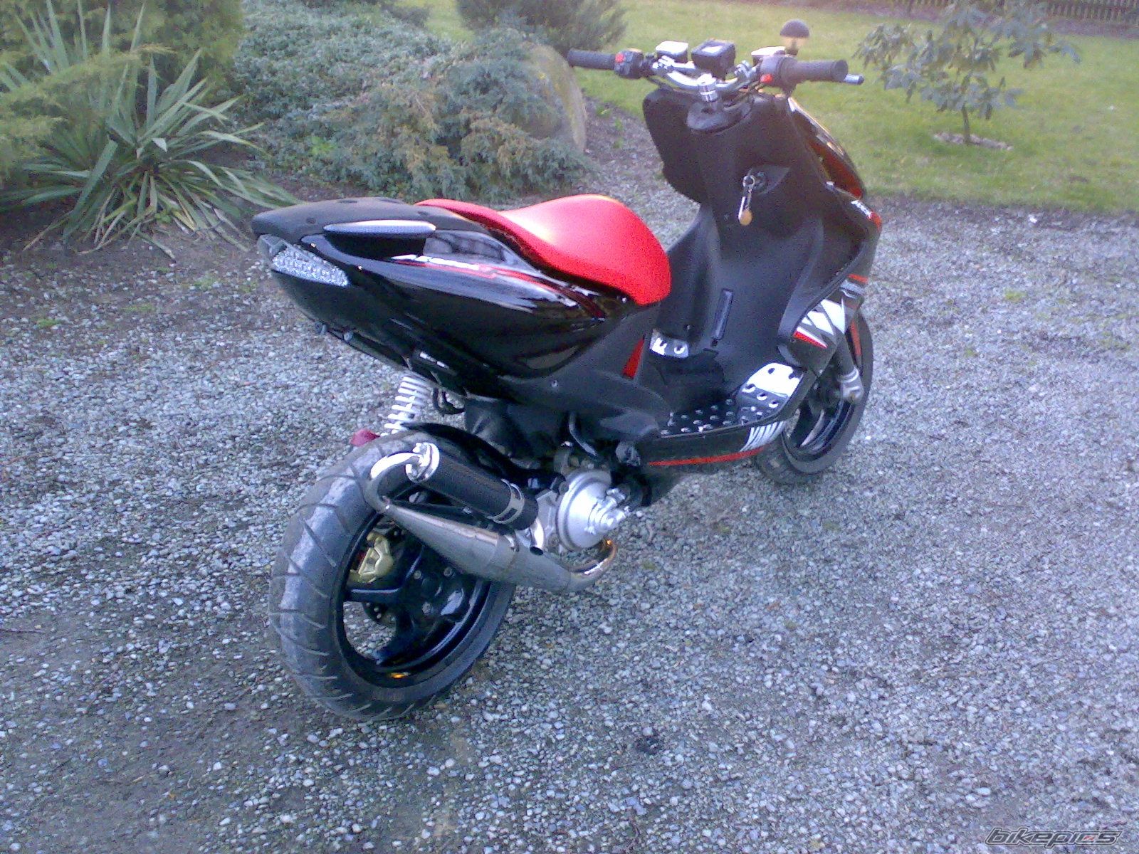 Photo 1225792