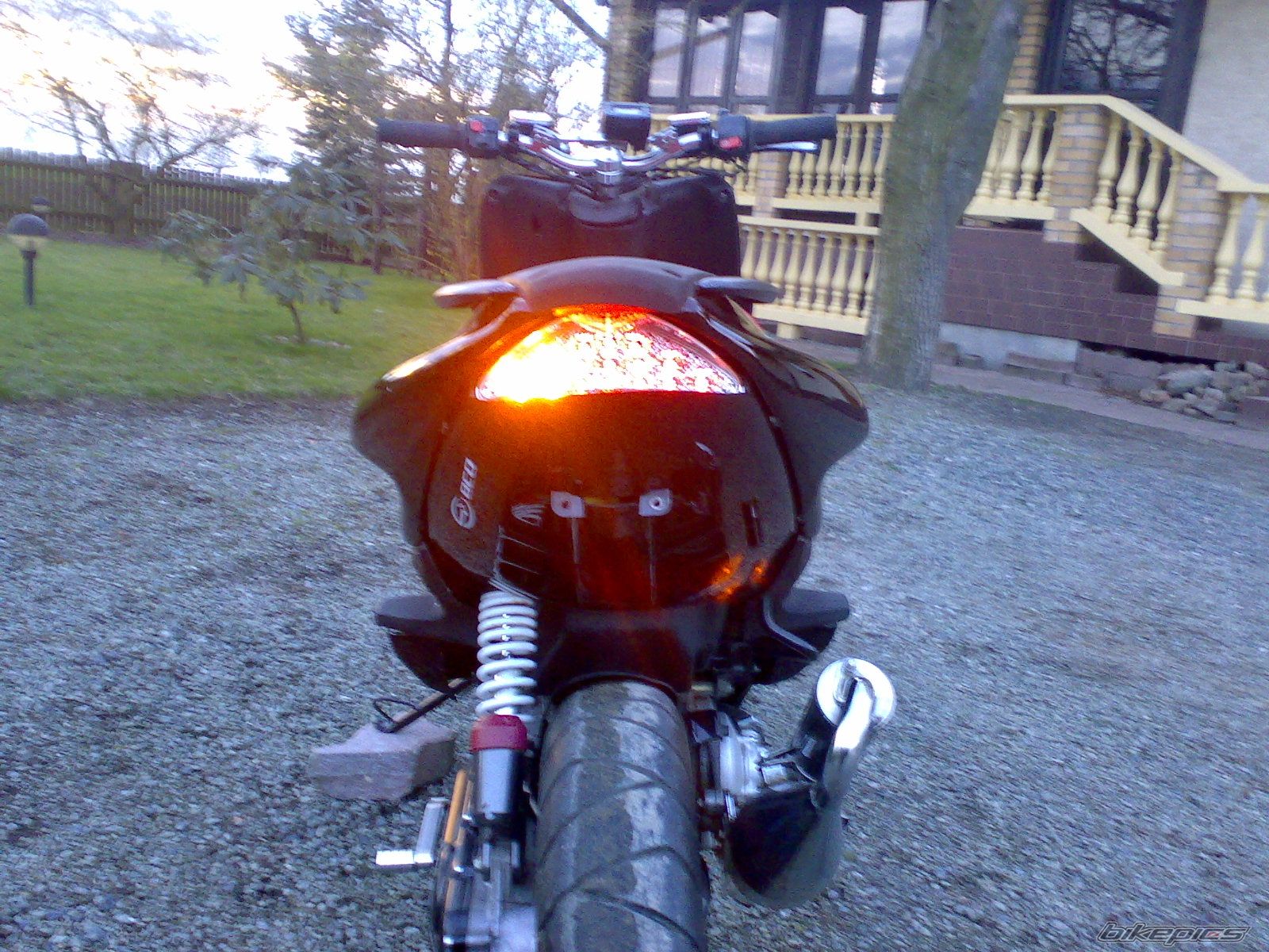 Photo 1225793