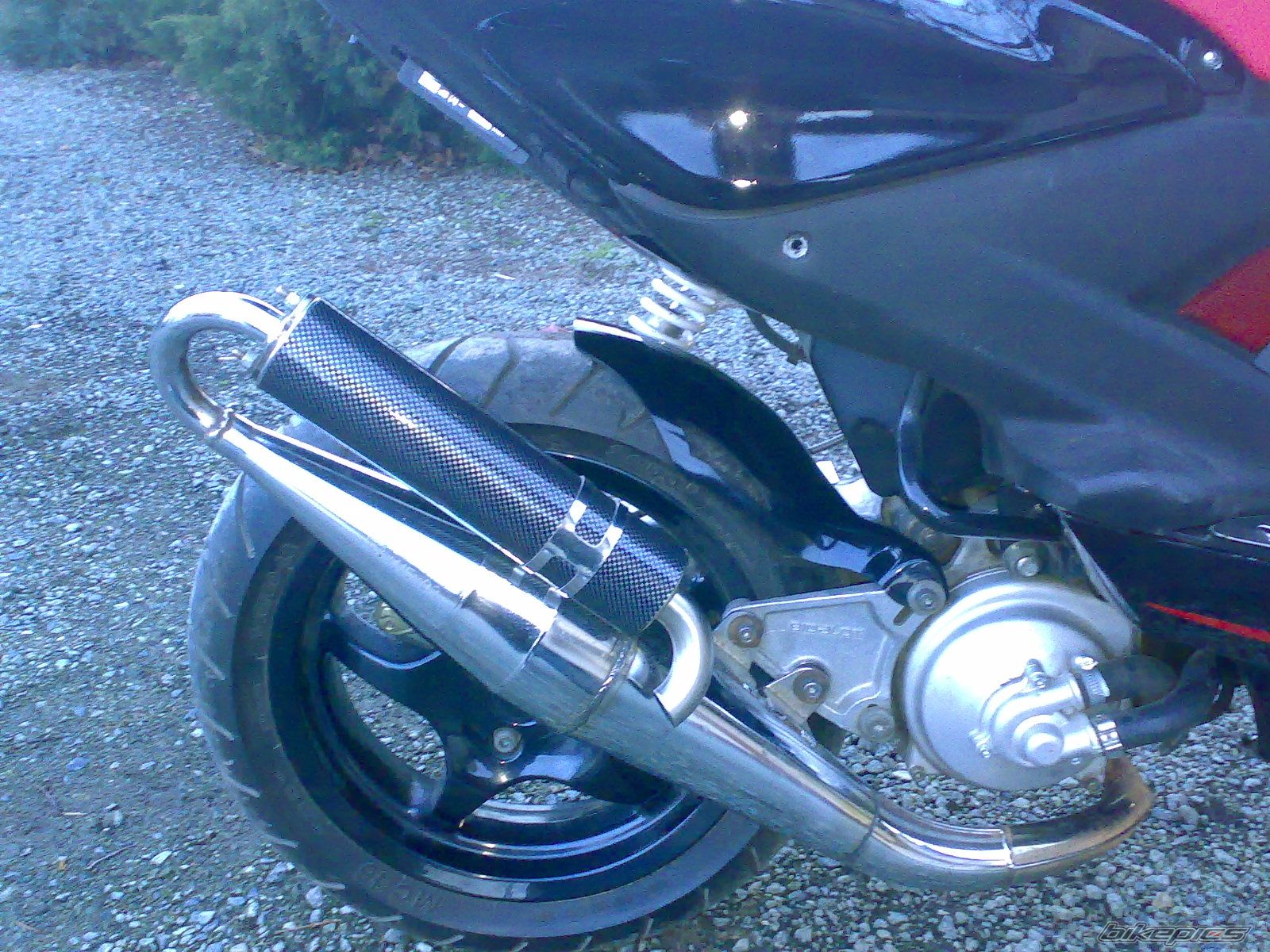 Photo 1225797