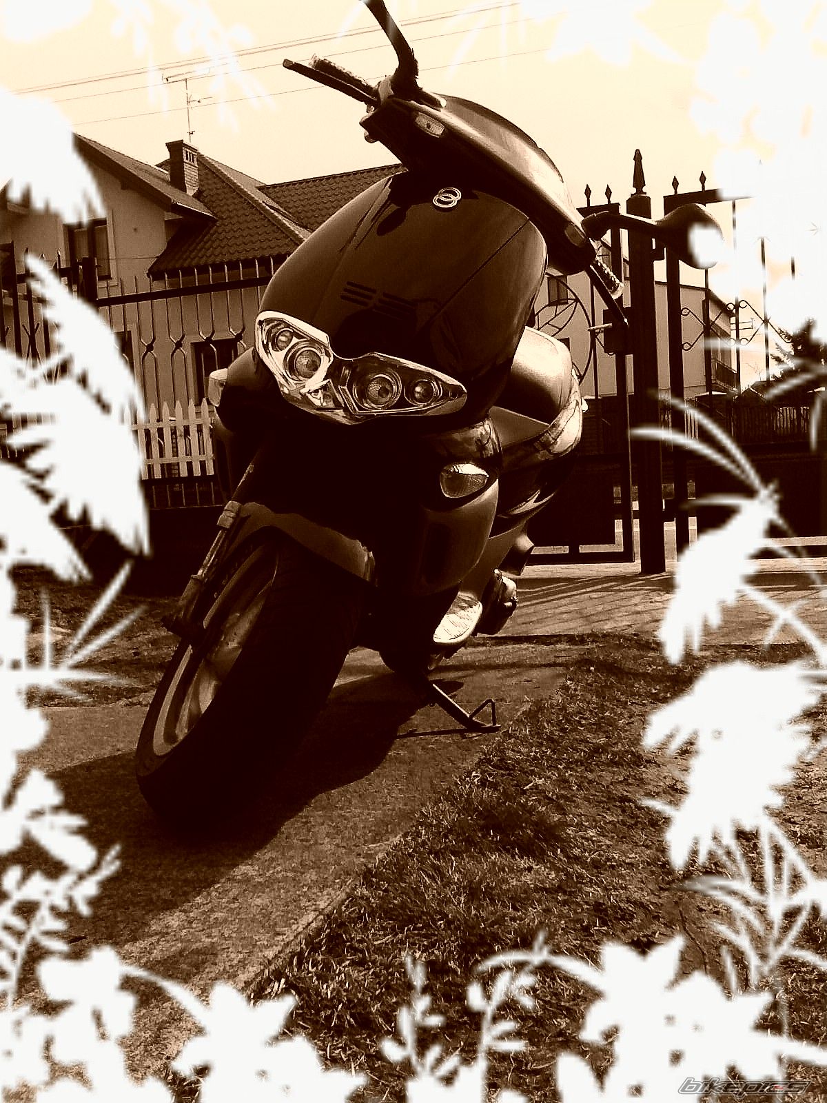 Photo 1225857