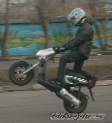 Photo 1225930