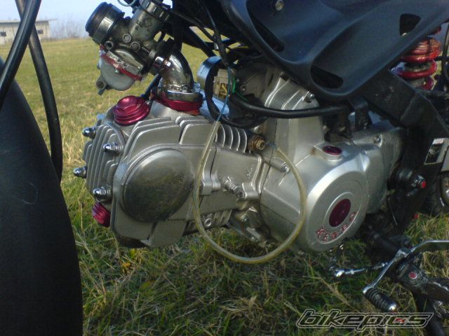 Photo 1225947