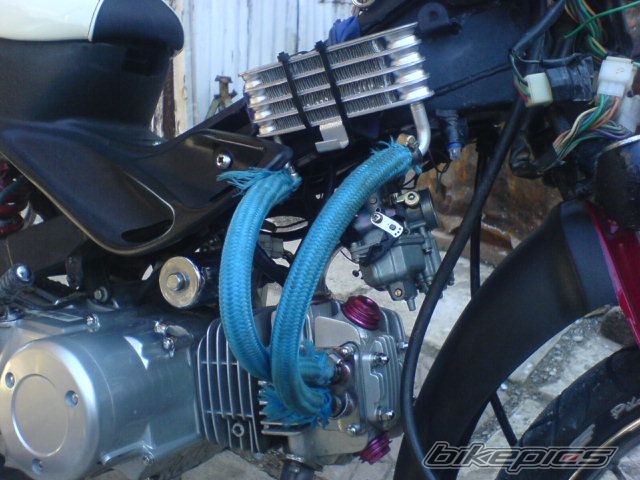 Photo 1225950