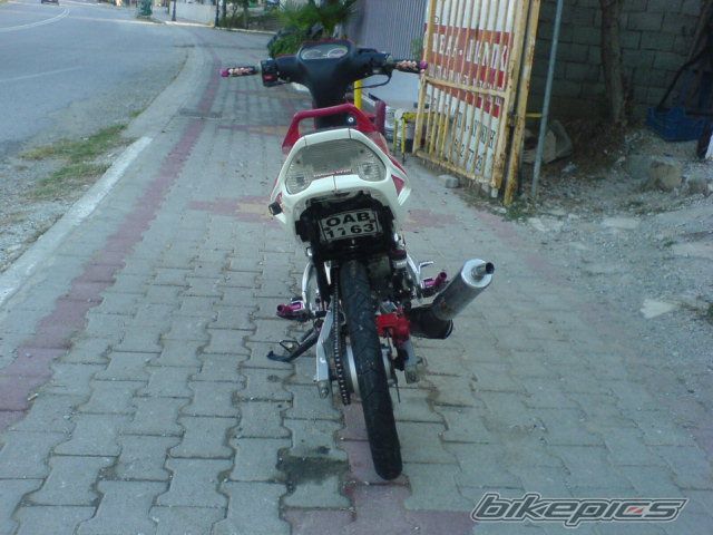 Photo 1225955