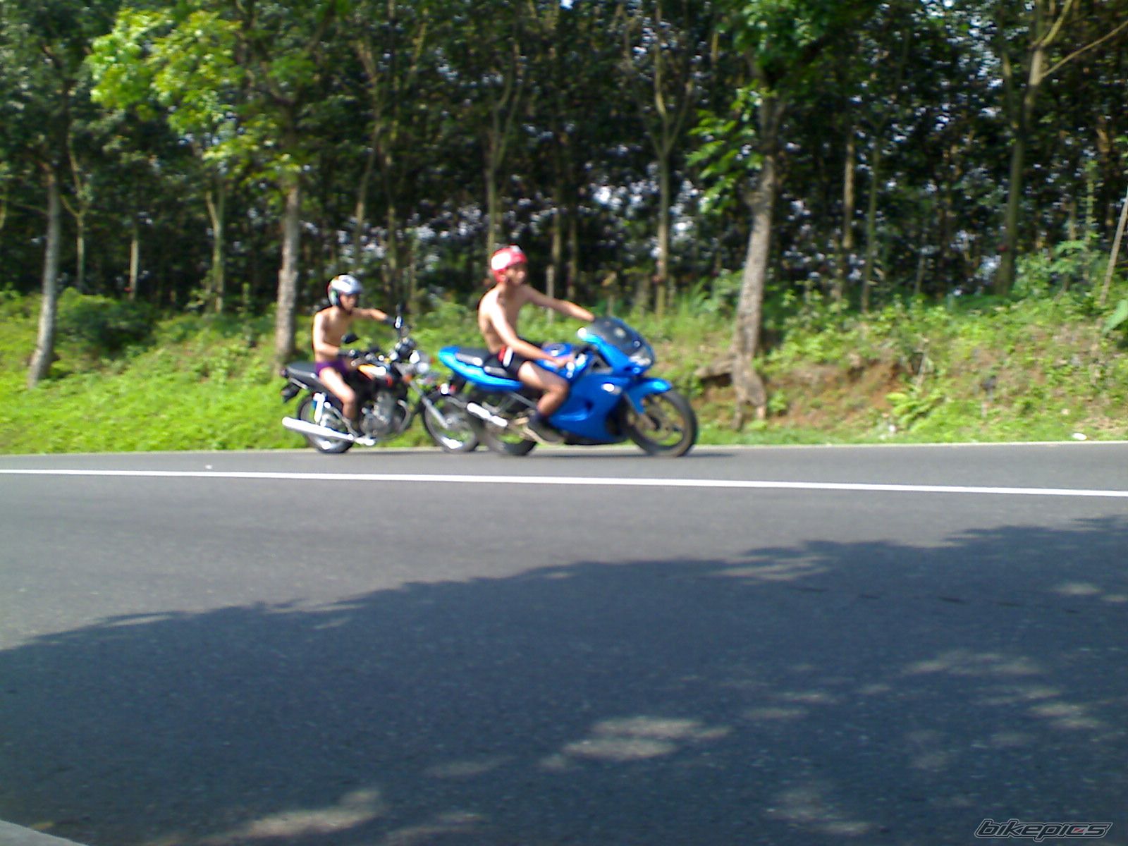 Photo 1226038