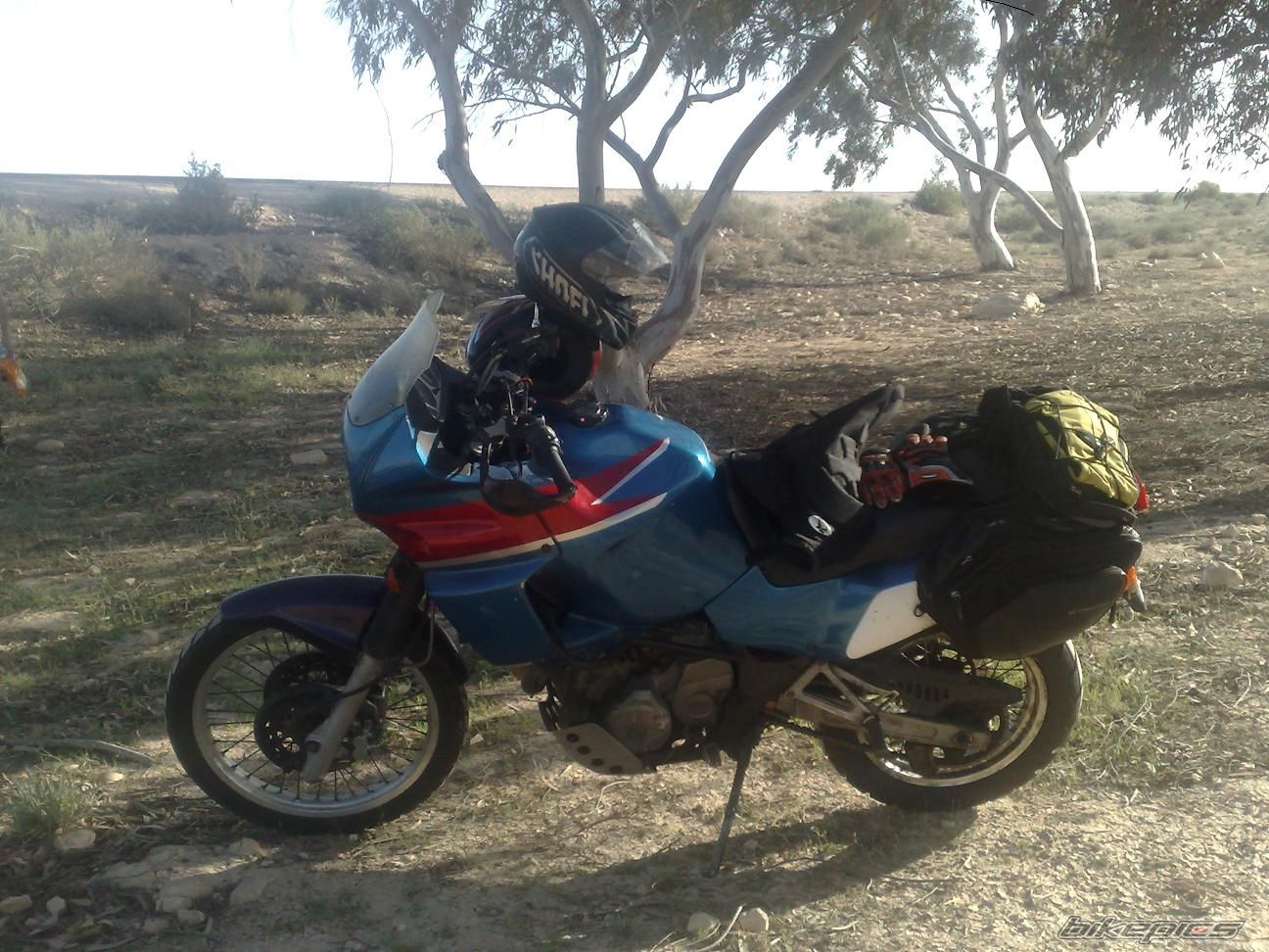 Photo 1226121