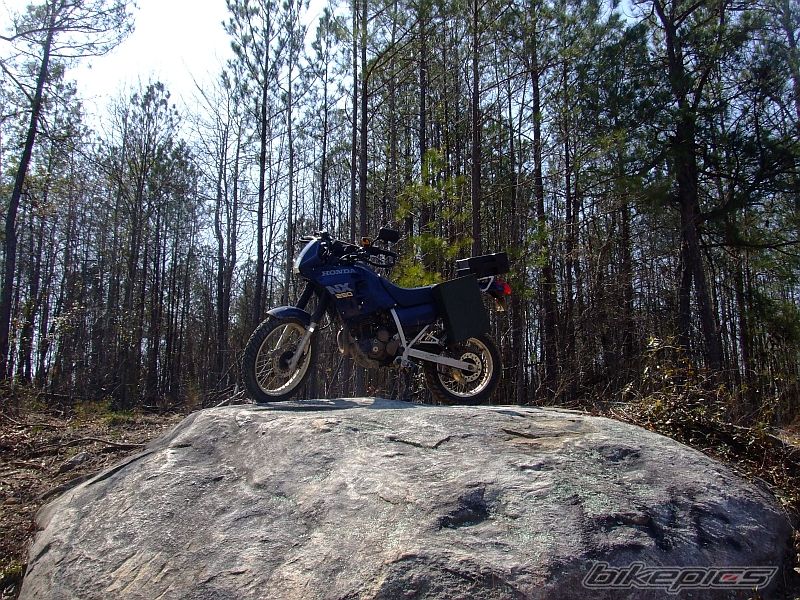 Photo 1226221