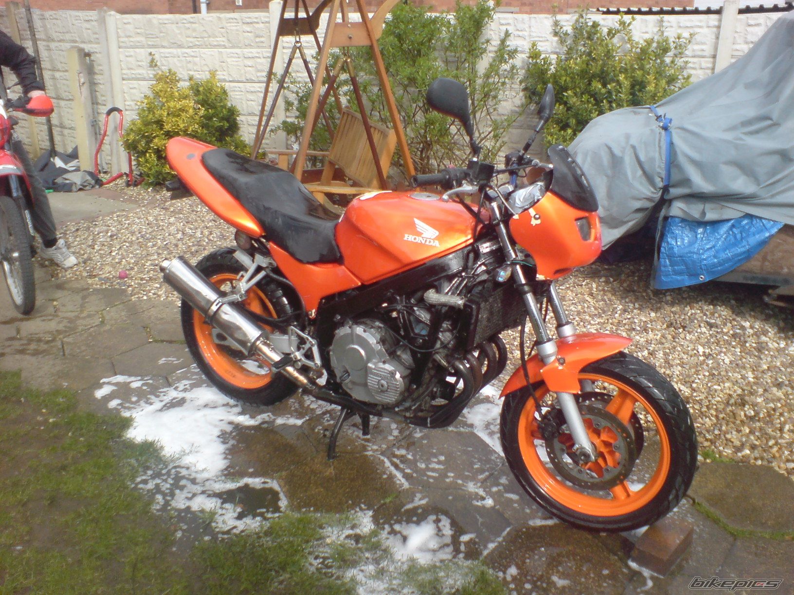Photo 1226298
