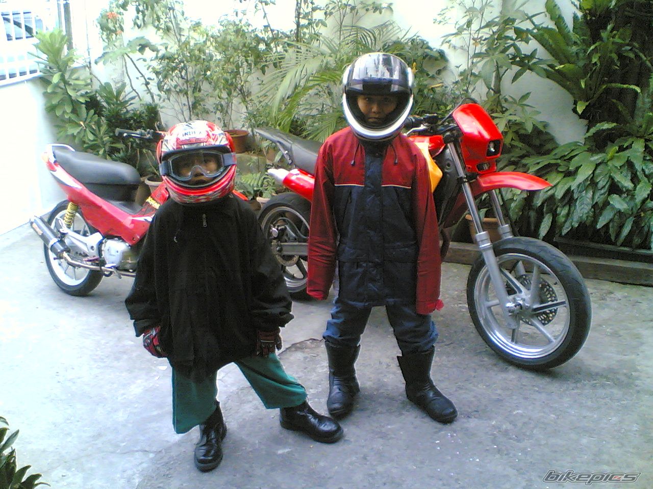 Photo 1226347