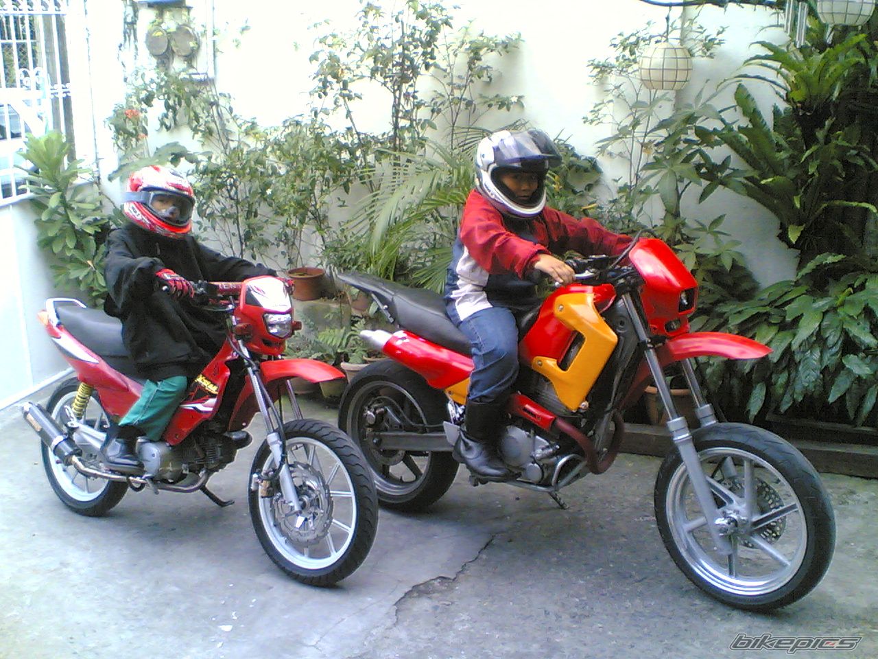 Photo 1226348