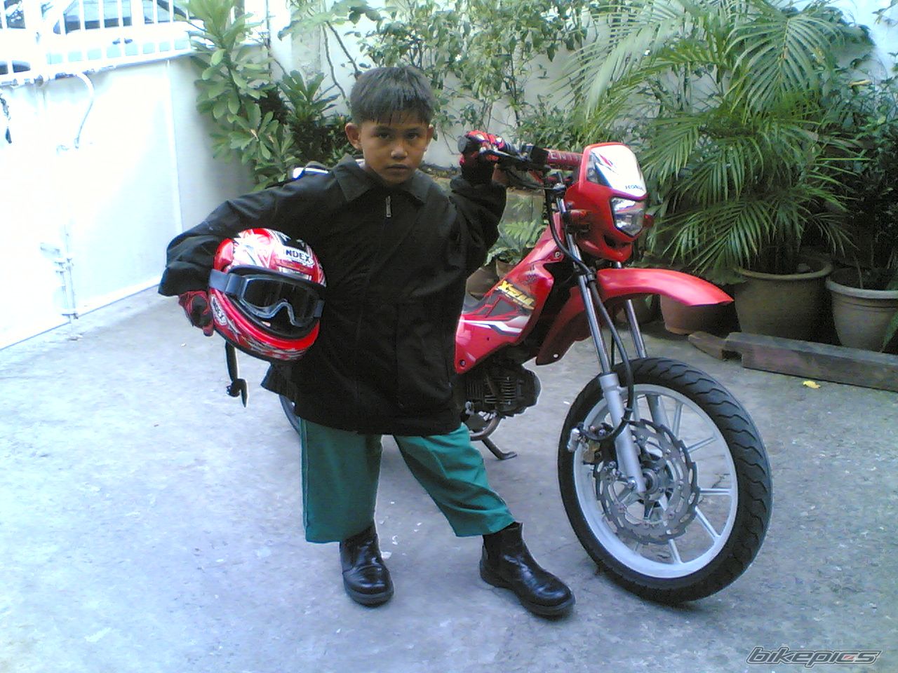 Photo 1226349