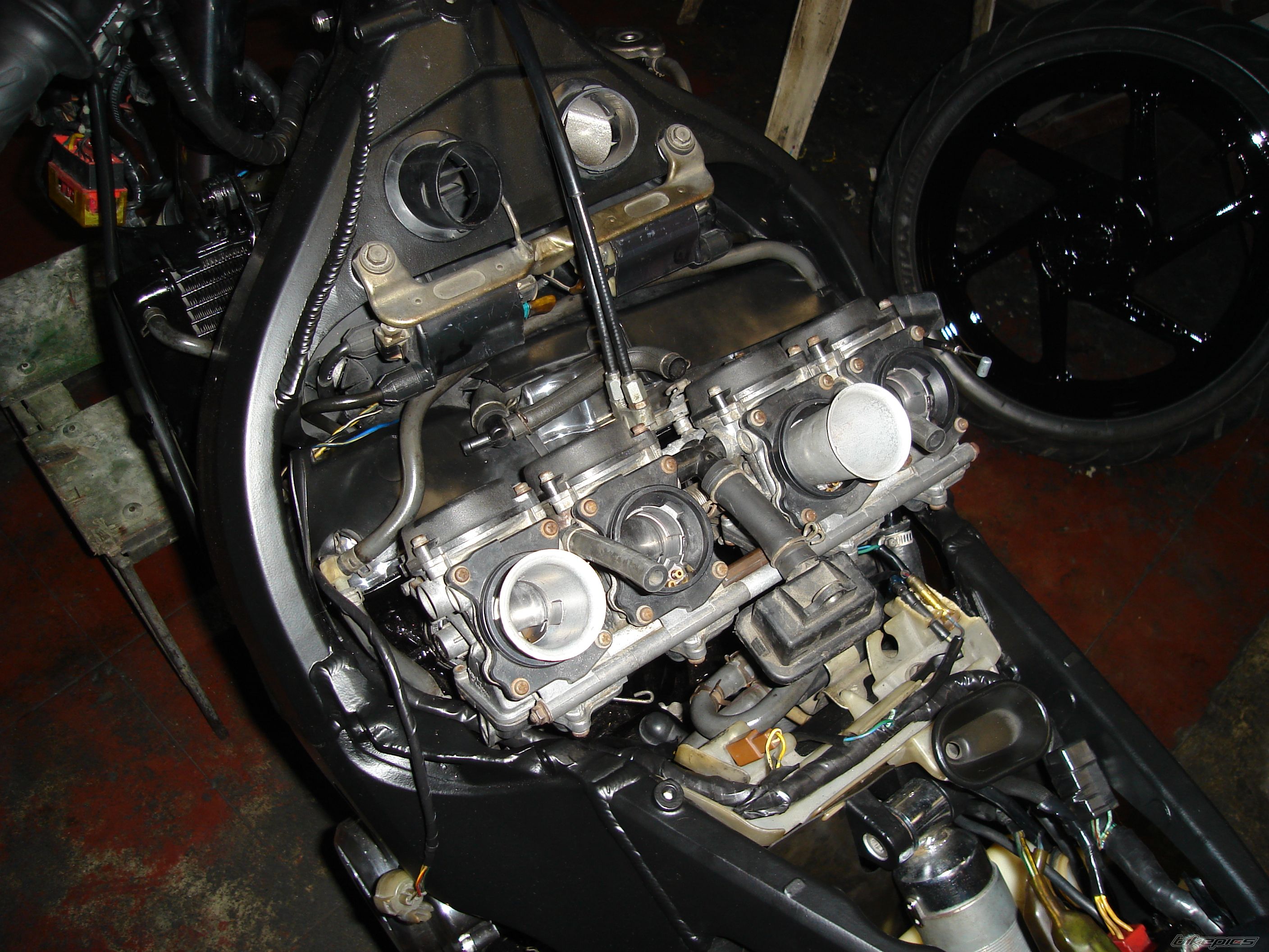 Photo 1226446