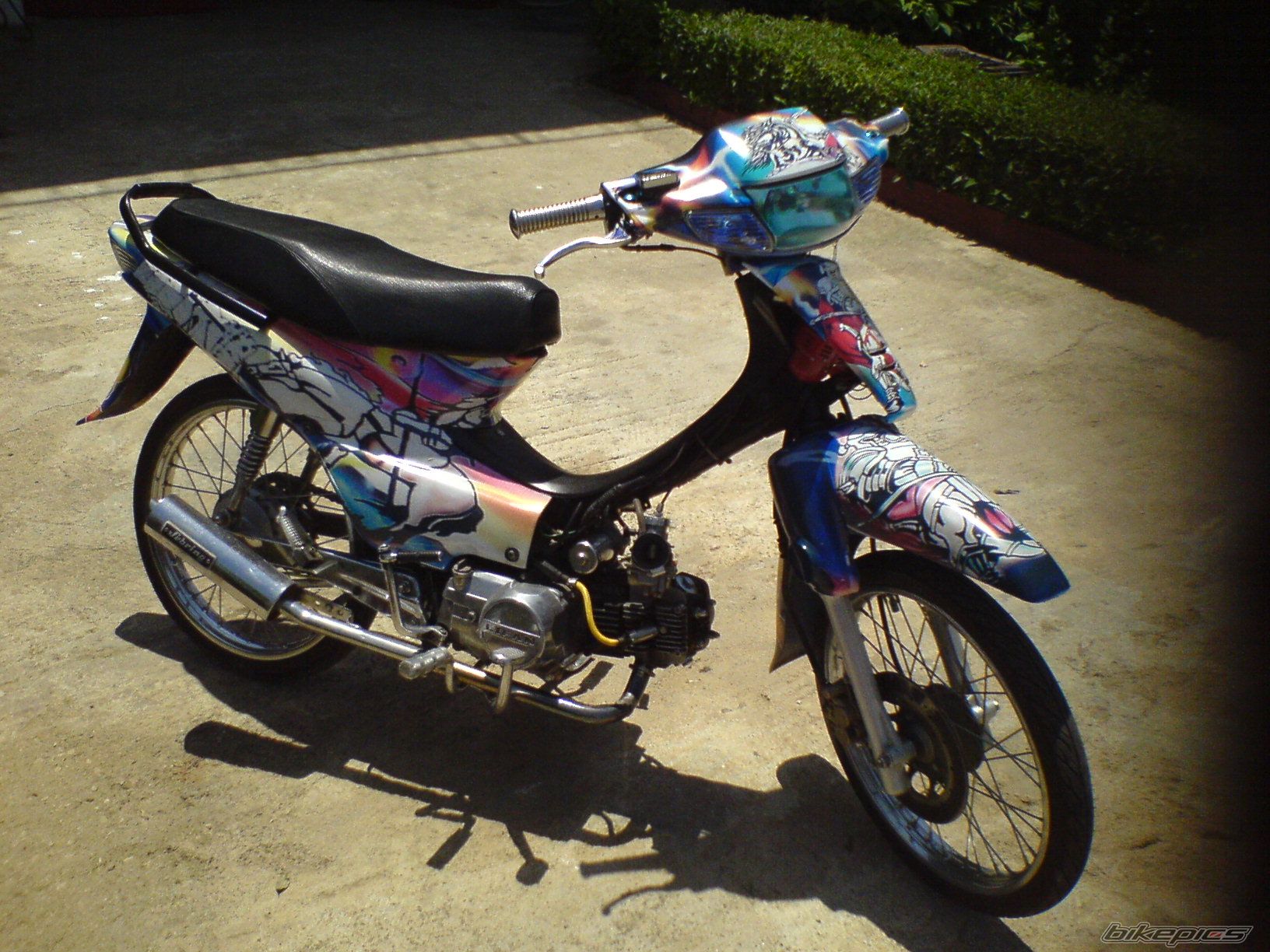 Photo 1226538