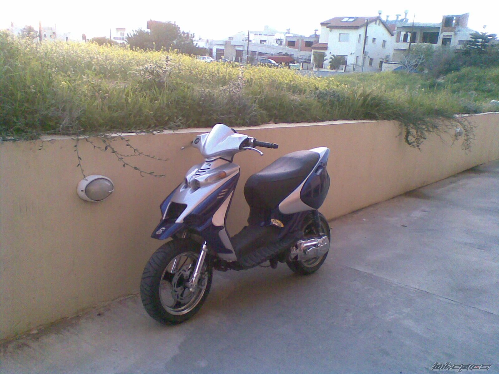 Photo 1226541