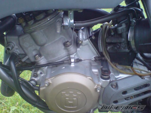 Photo 1226549