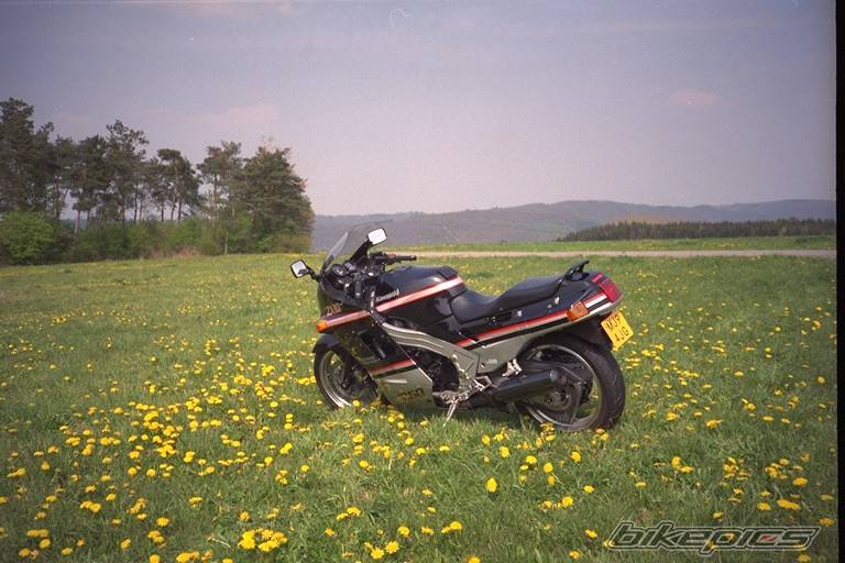 Photo 12266
