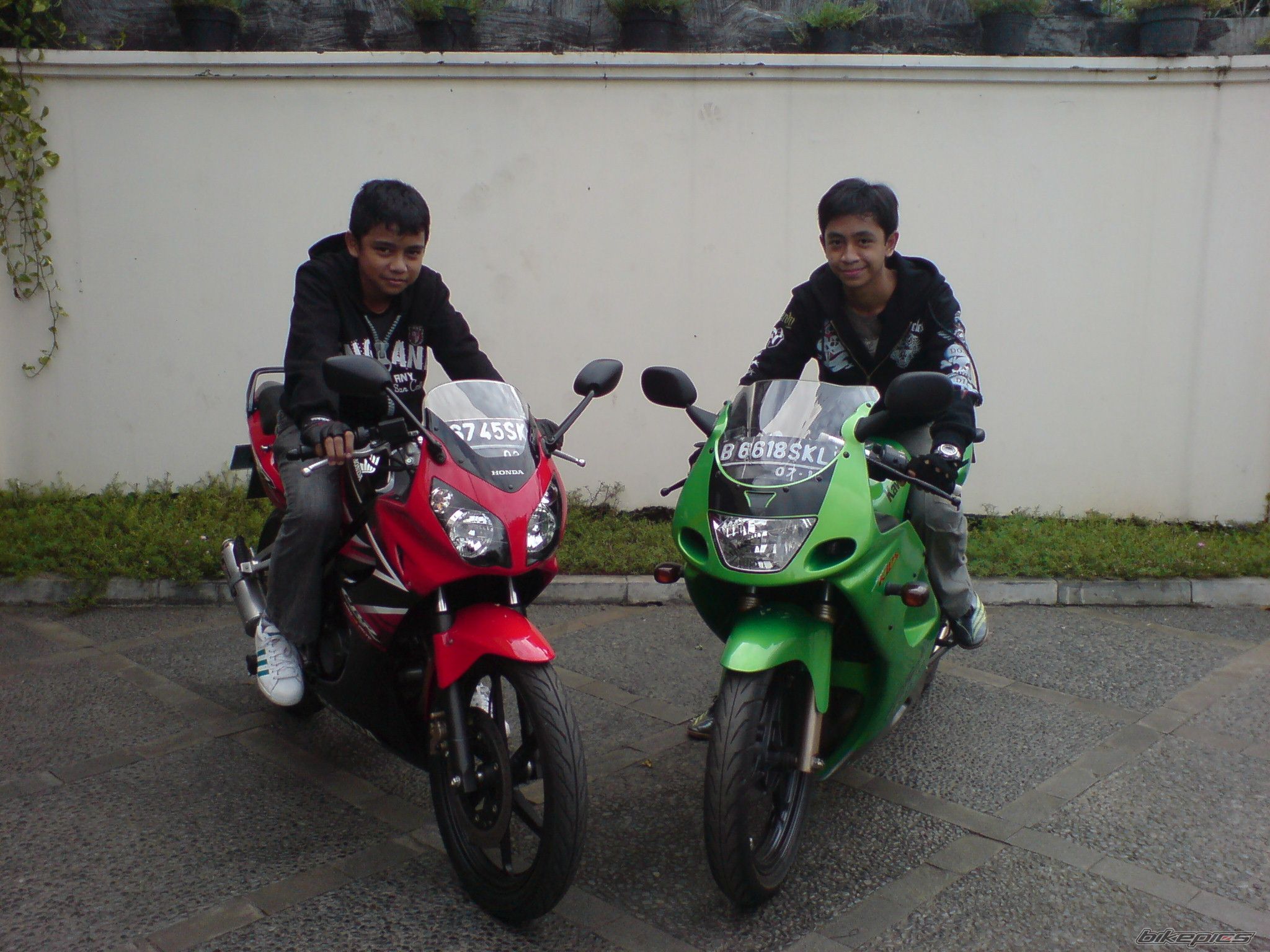 Photo 1226610