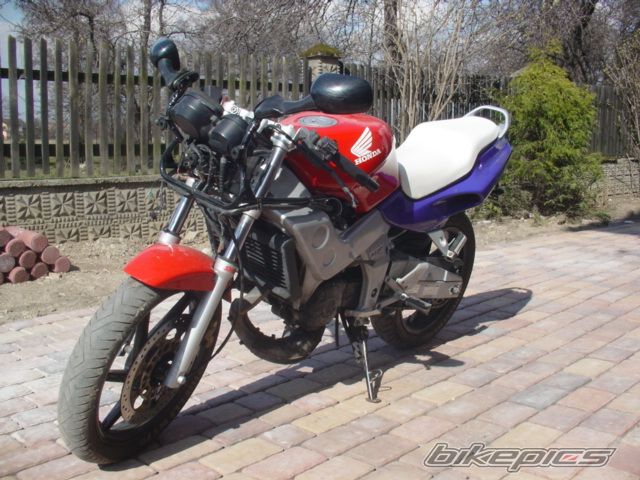 Photo 1226616