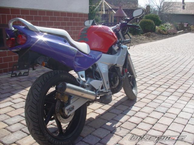 Photo 1226621