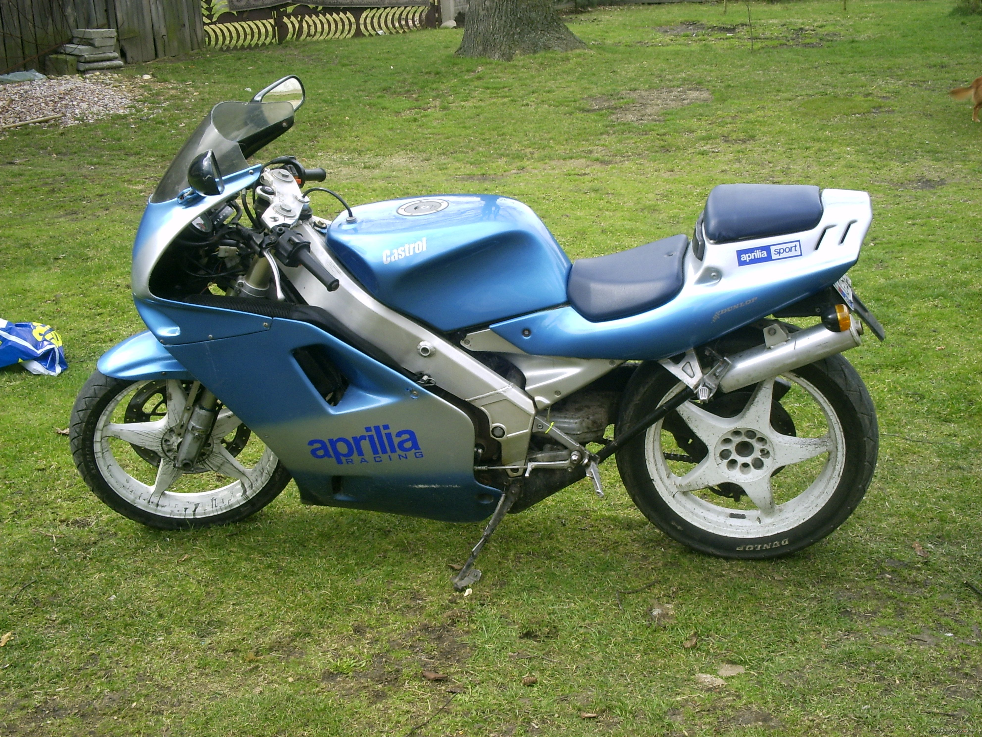 Photo 1226639