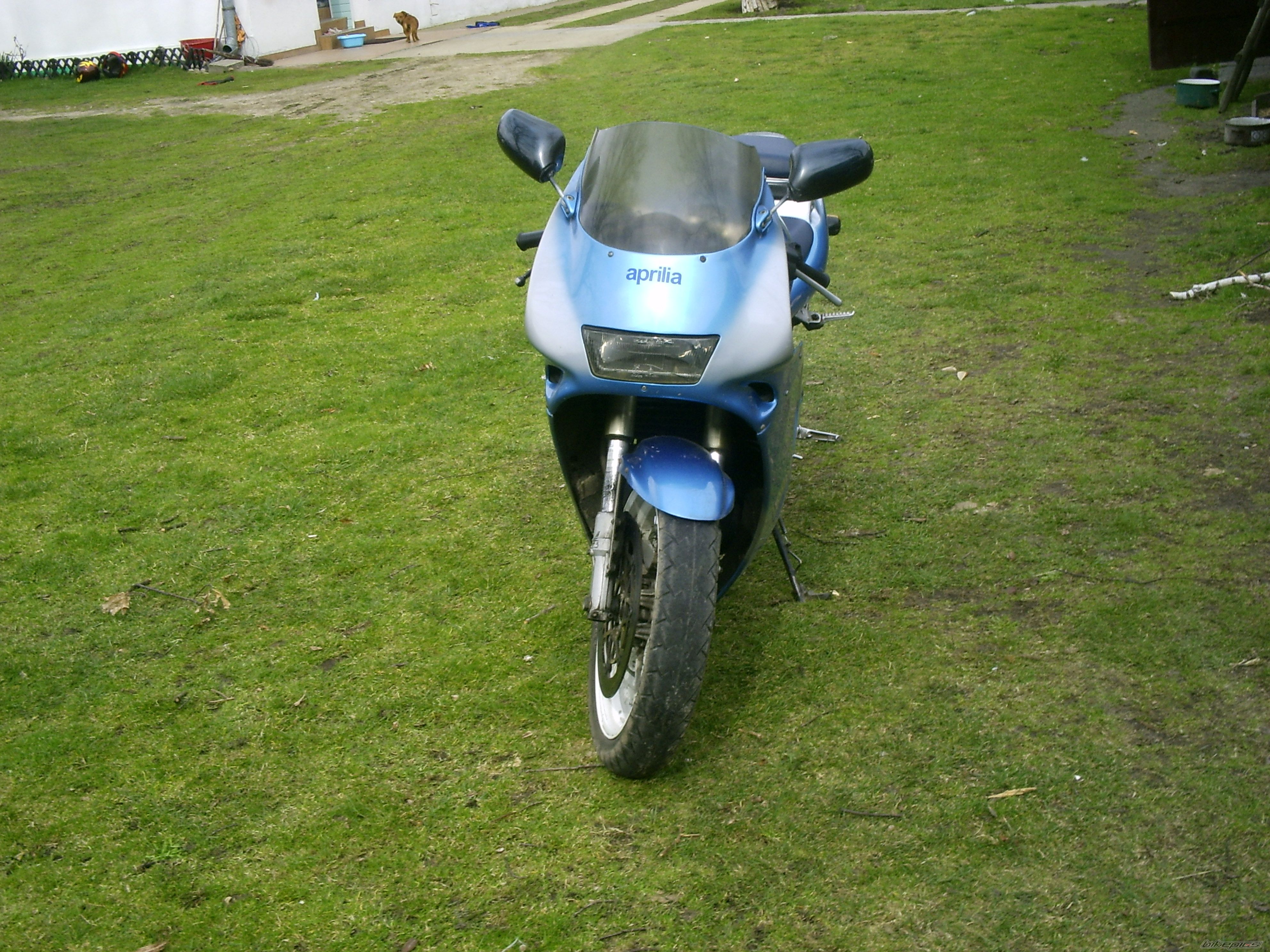 Photo 1226646