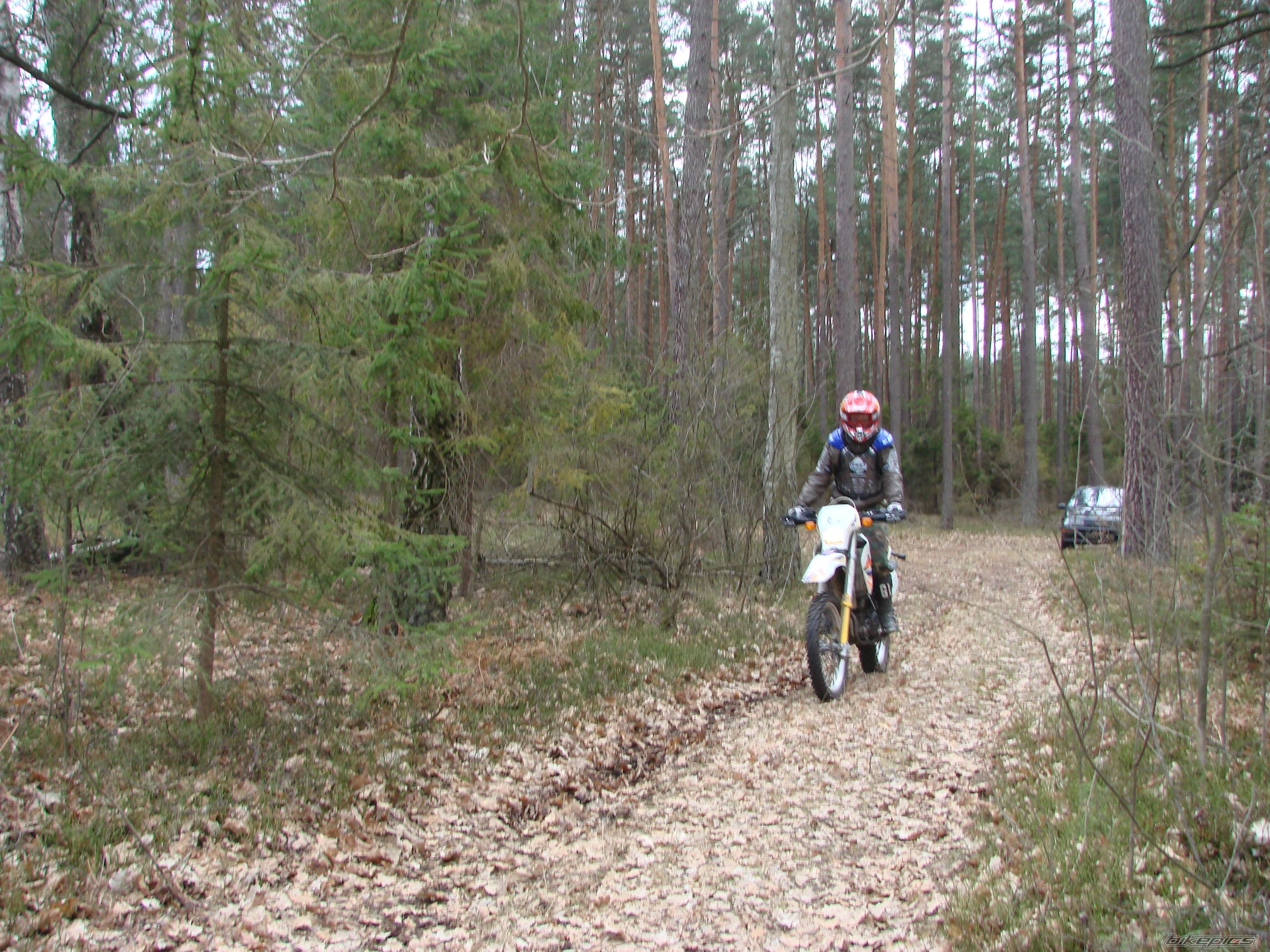 Photo 1226728