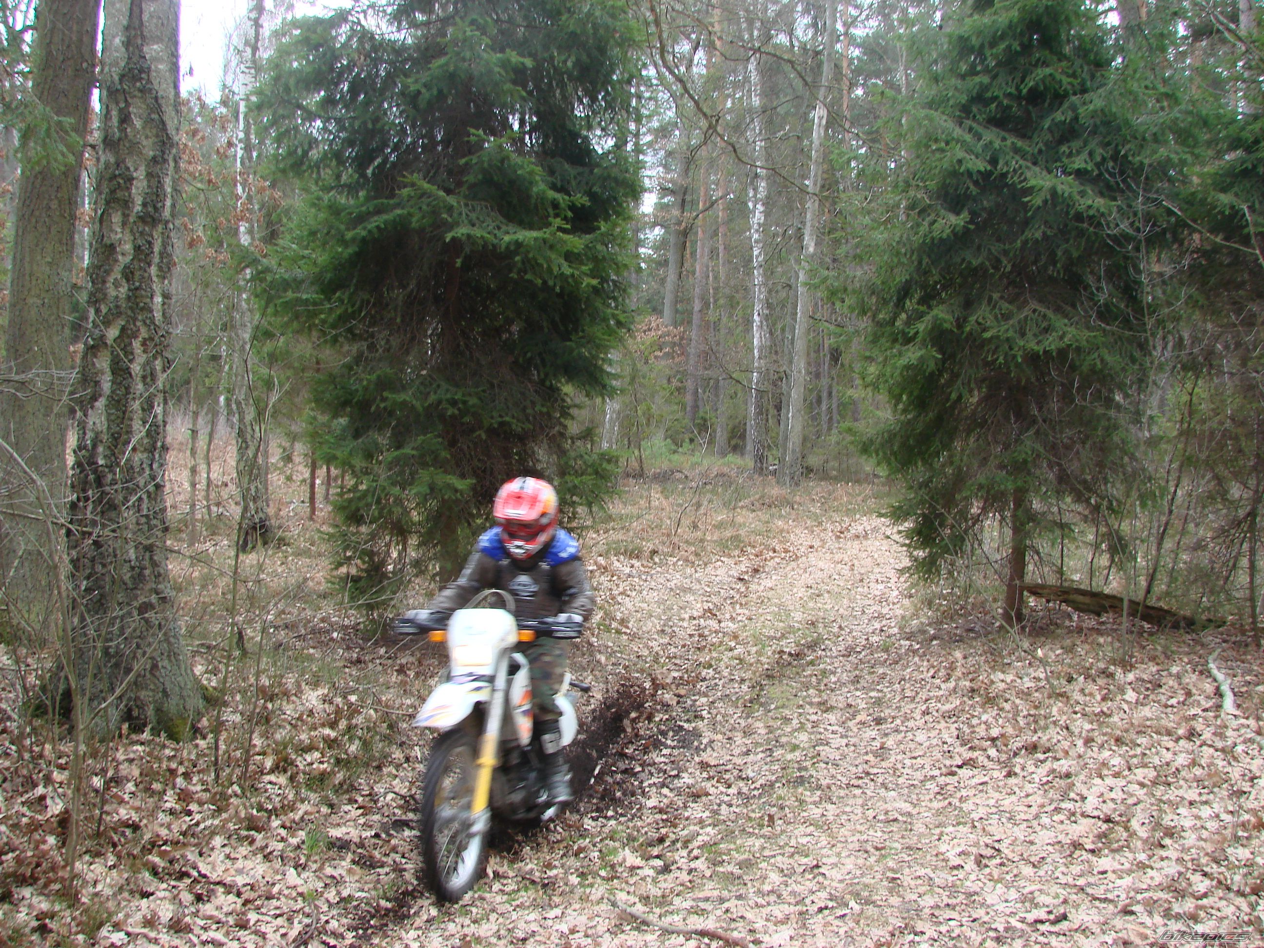 Photo 1226736