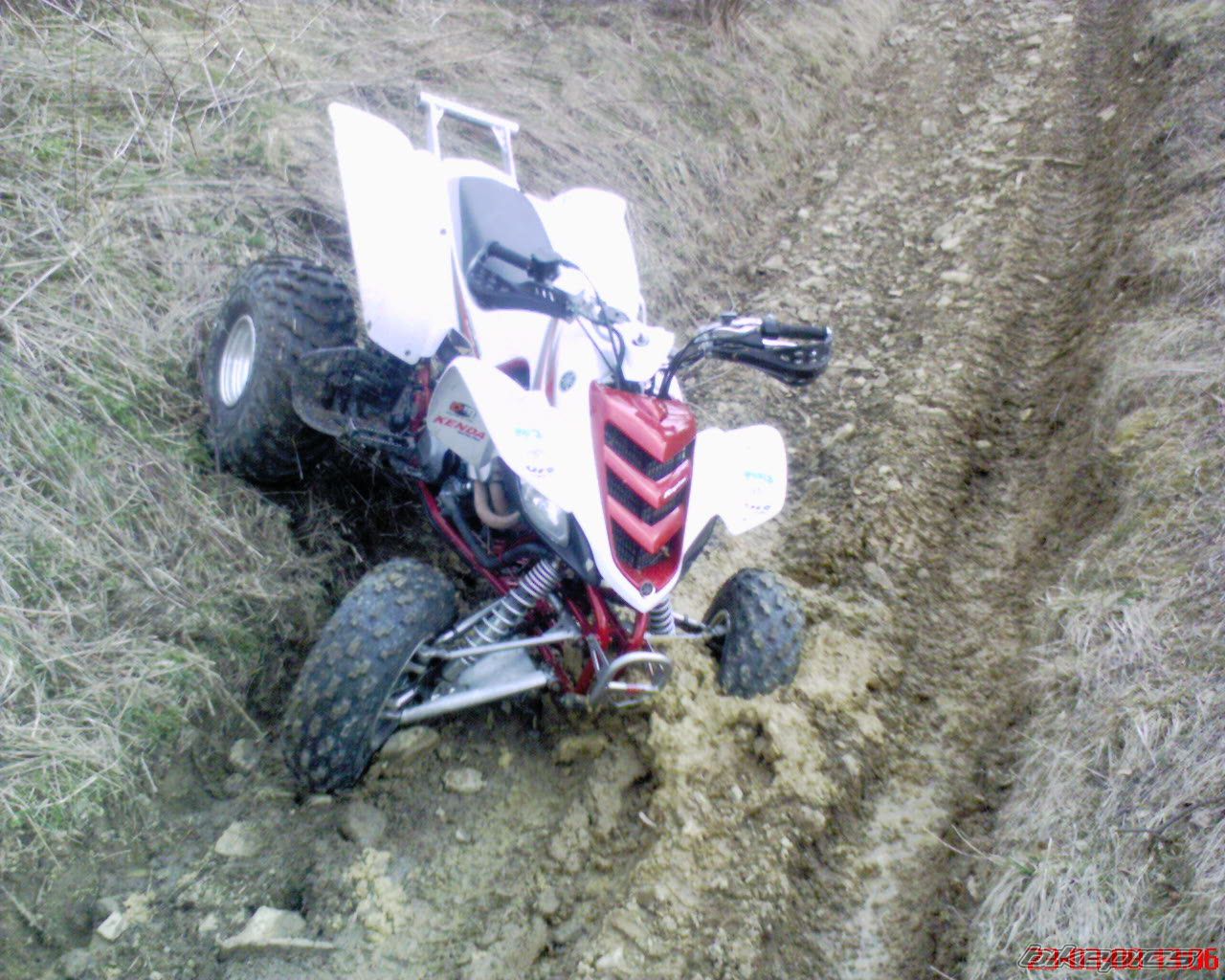 Bike Photo 1226771