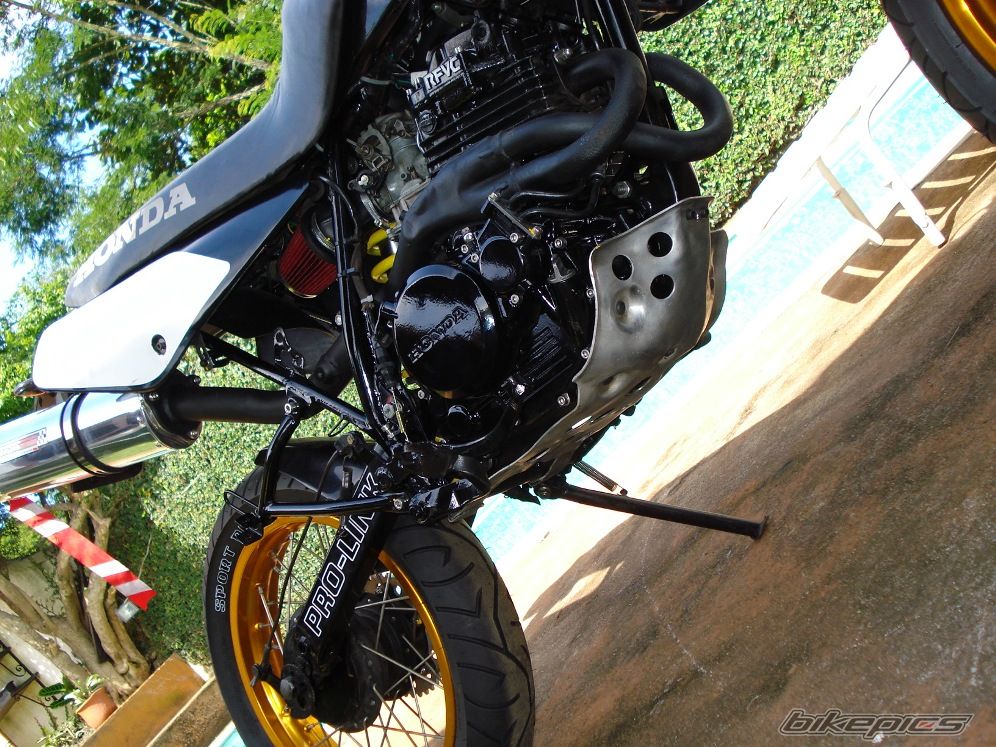 Photo 1226791