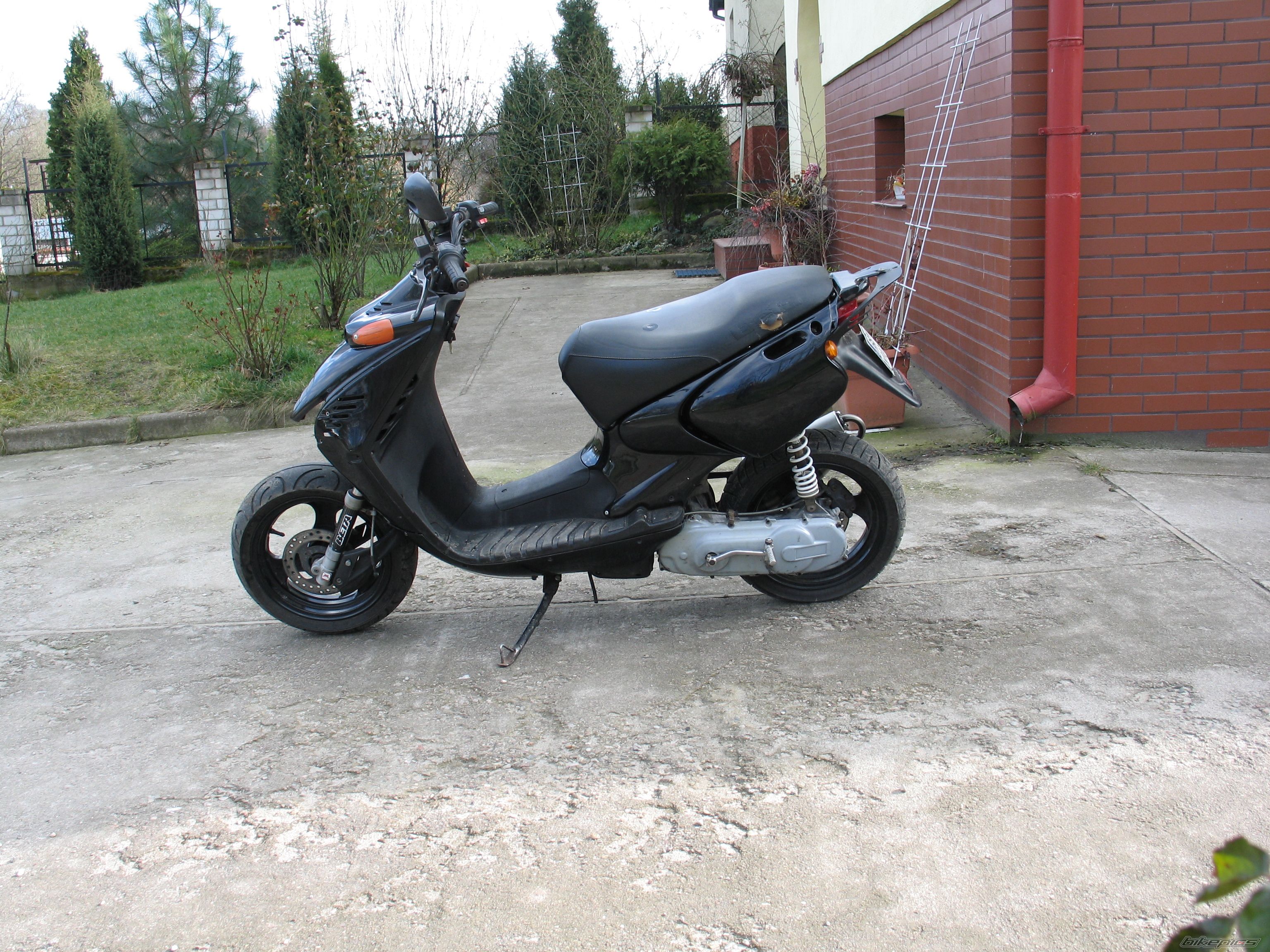 Photo 1226879