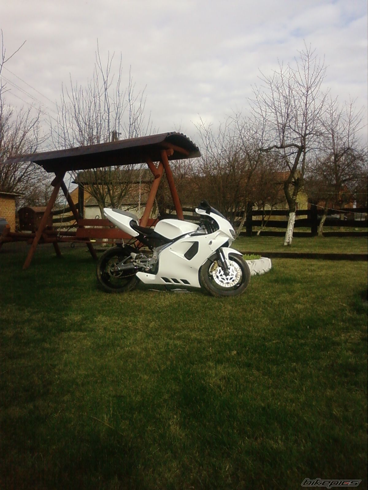 Photo 1226885
