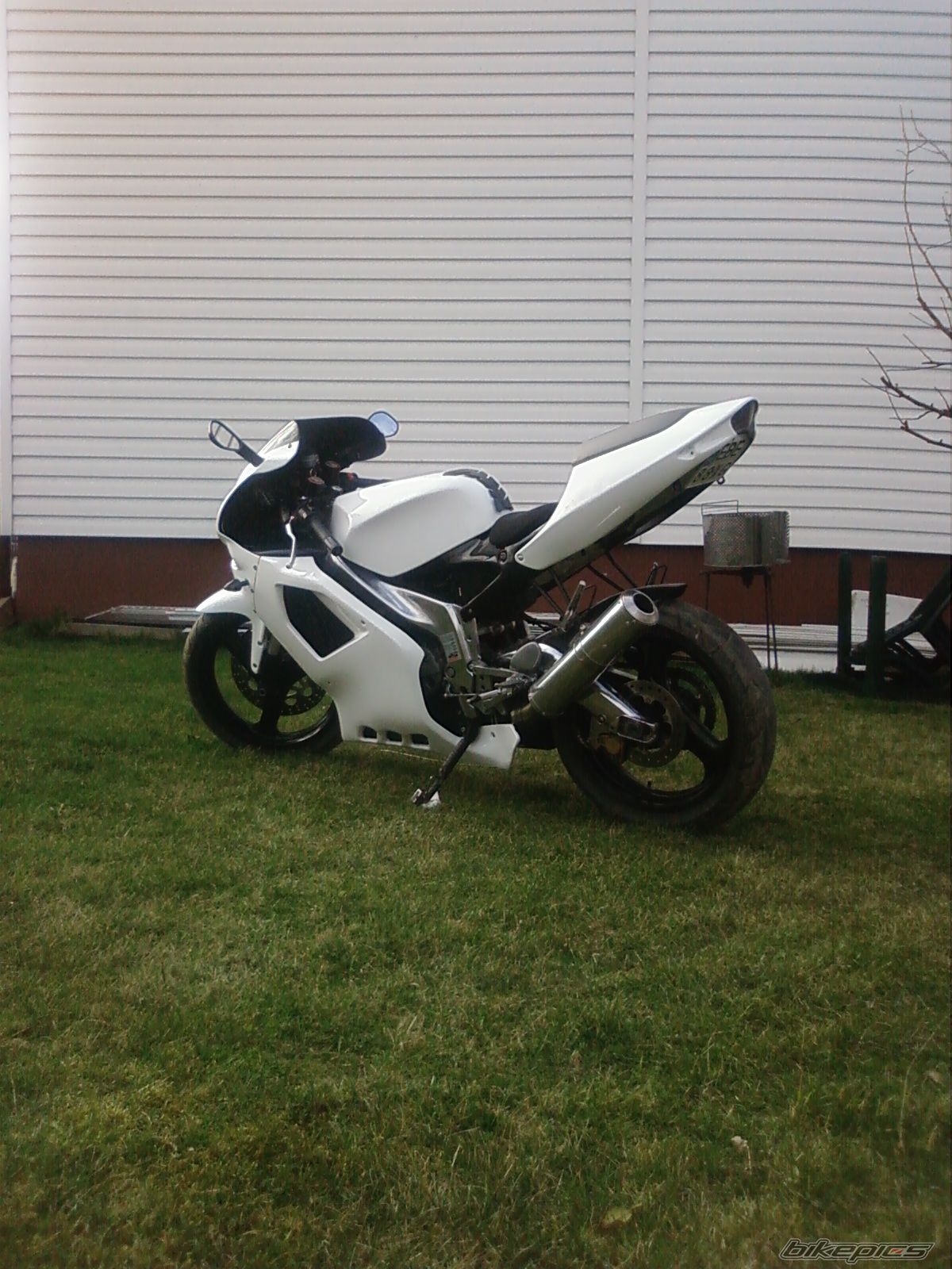 Photo 1226948