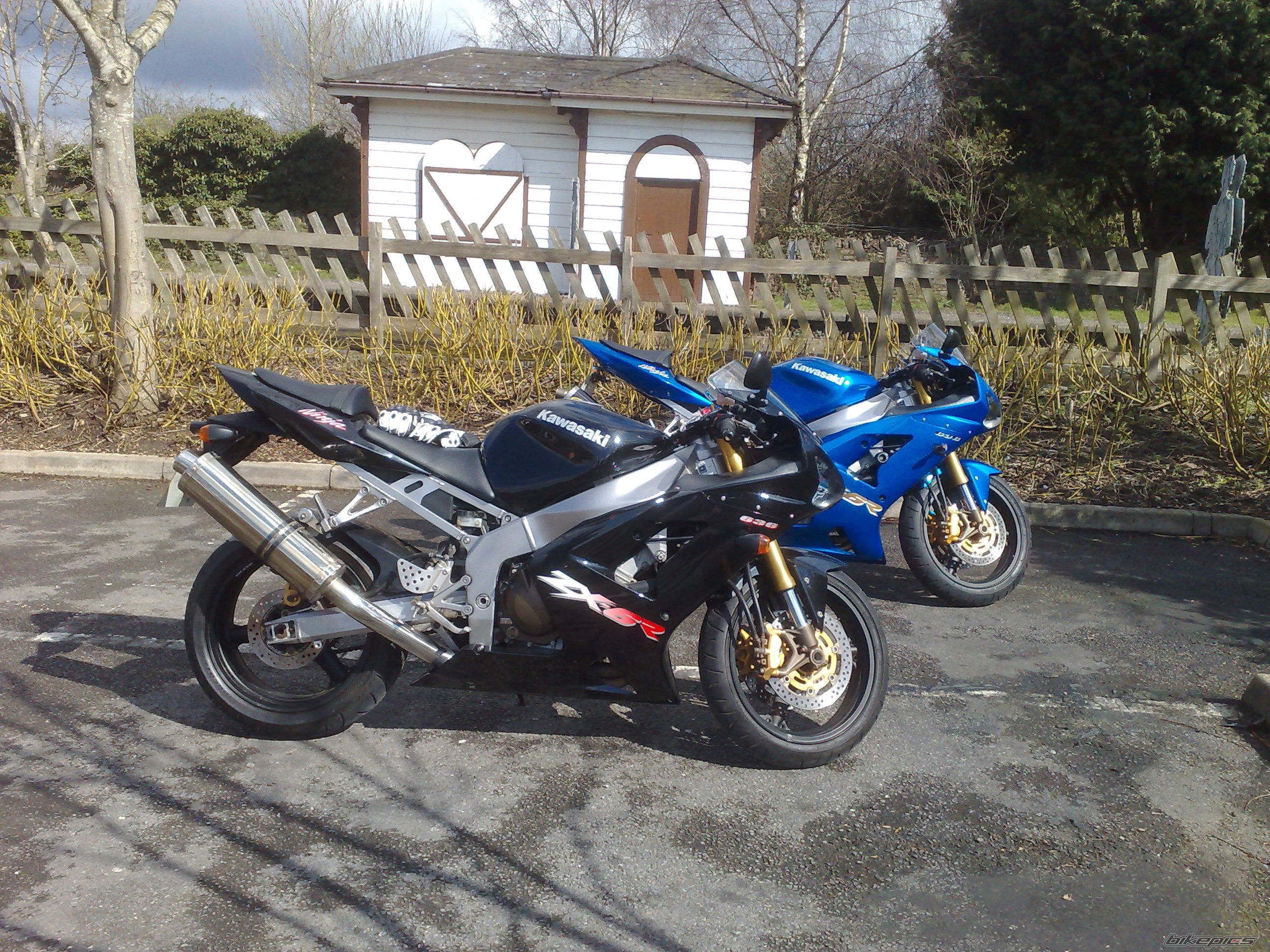 Photo 1226989