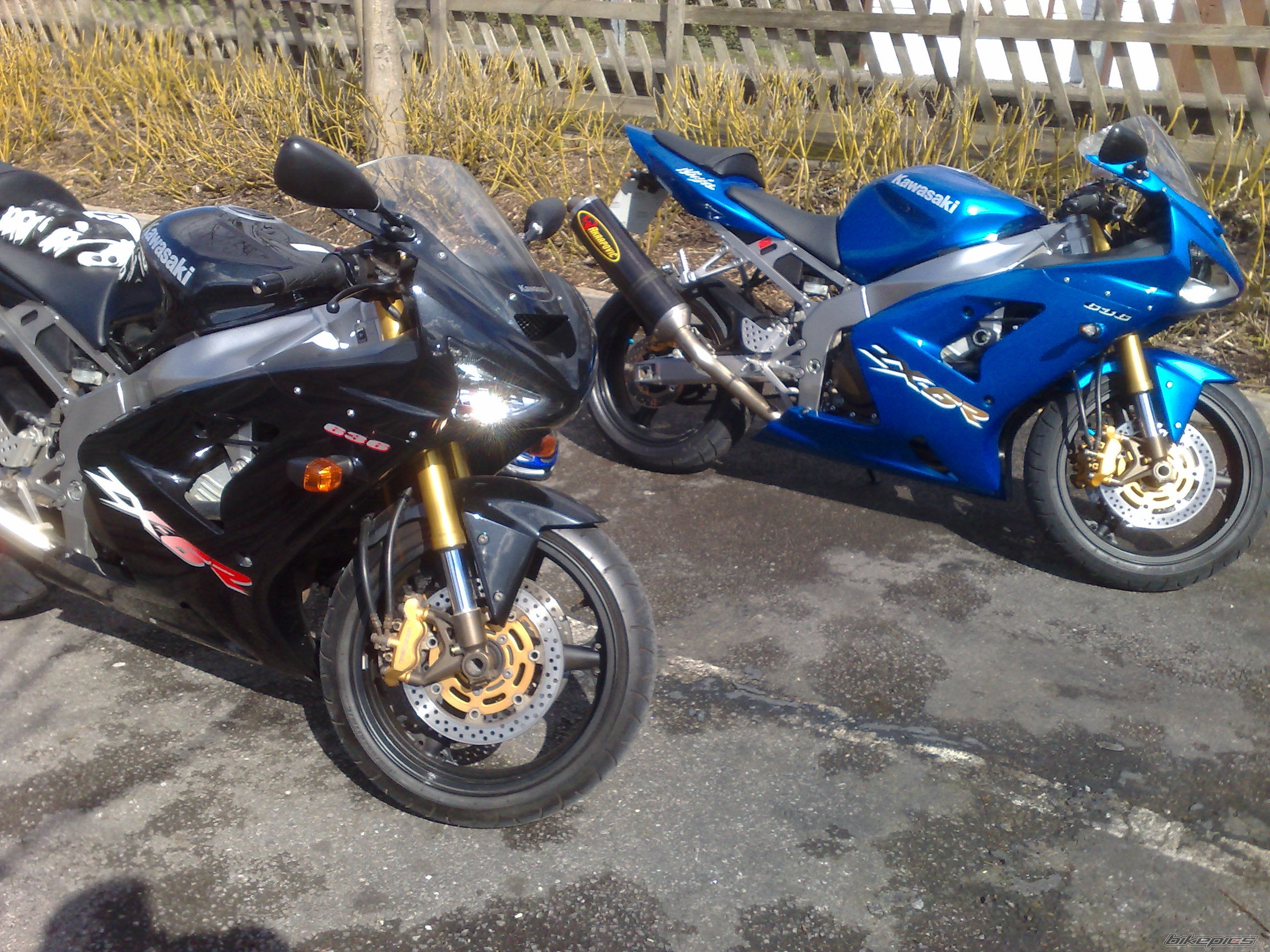 Photo 1226991