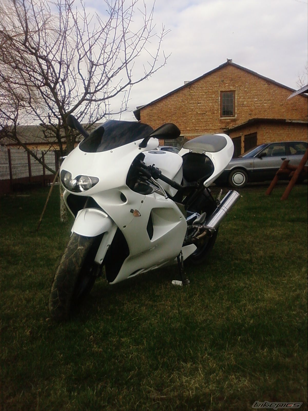 Photo 1226993