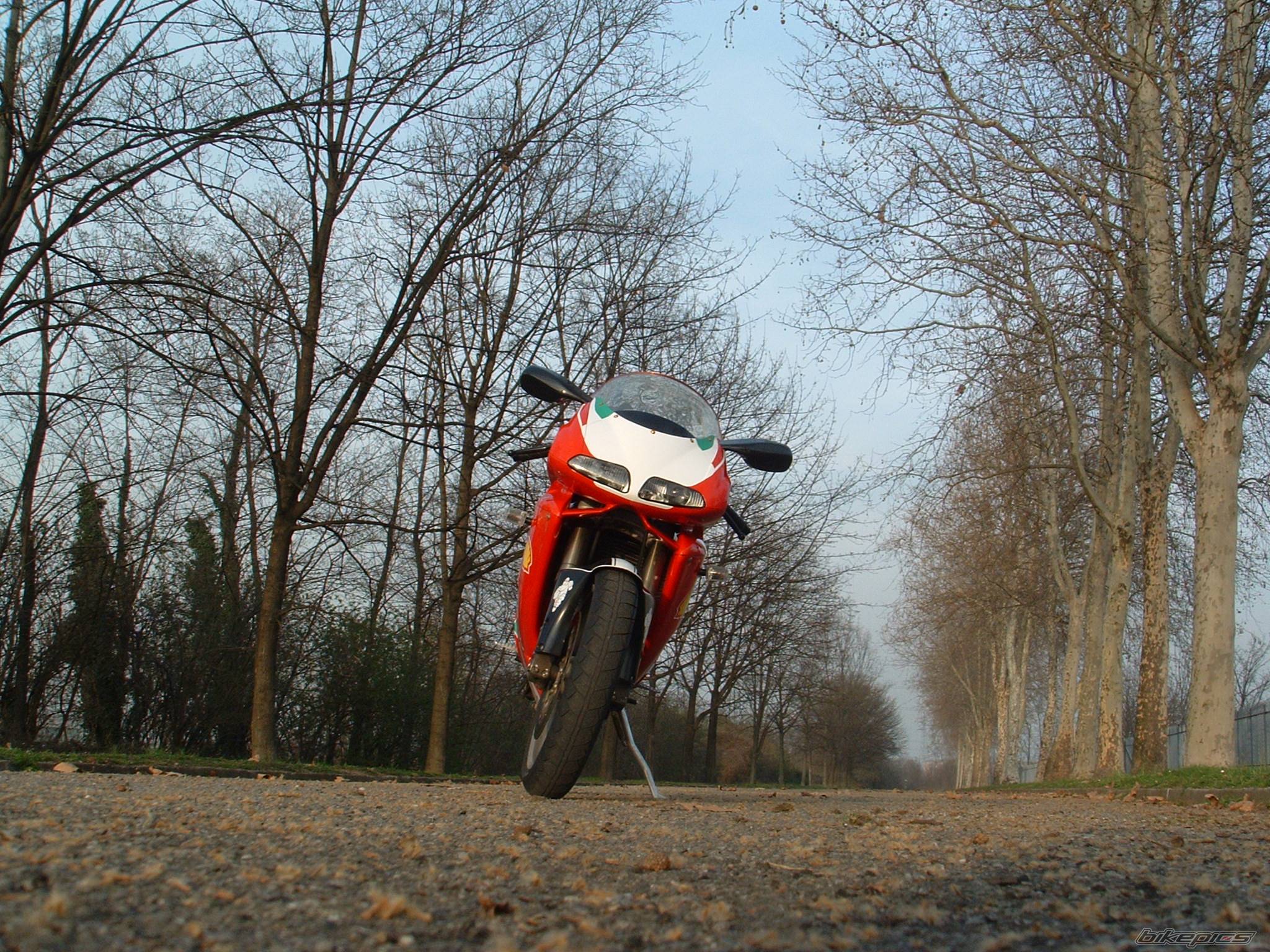 Bike Photo 122700