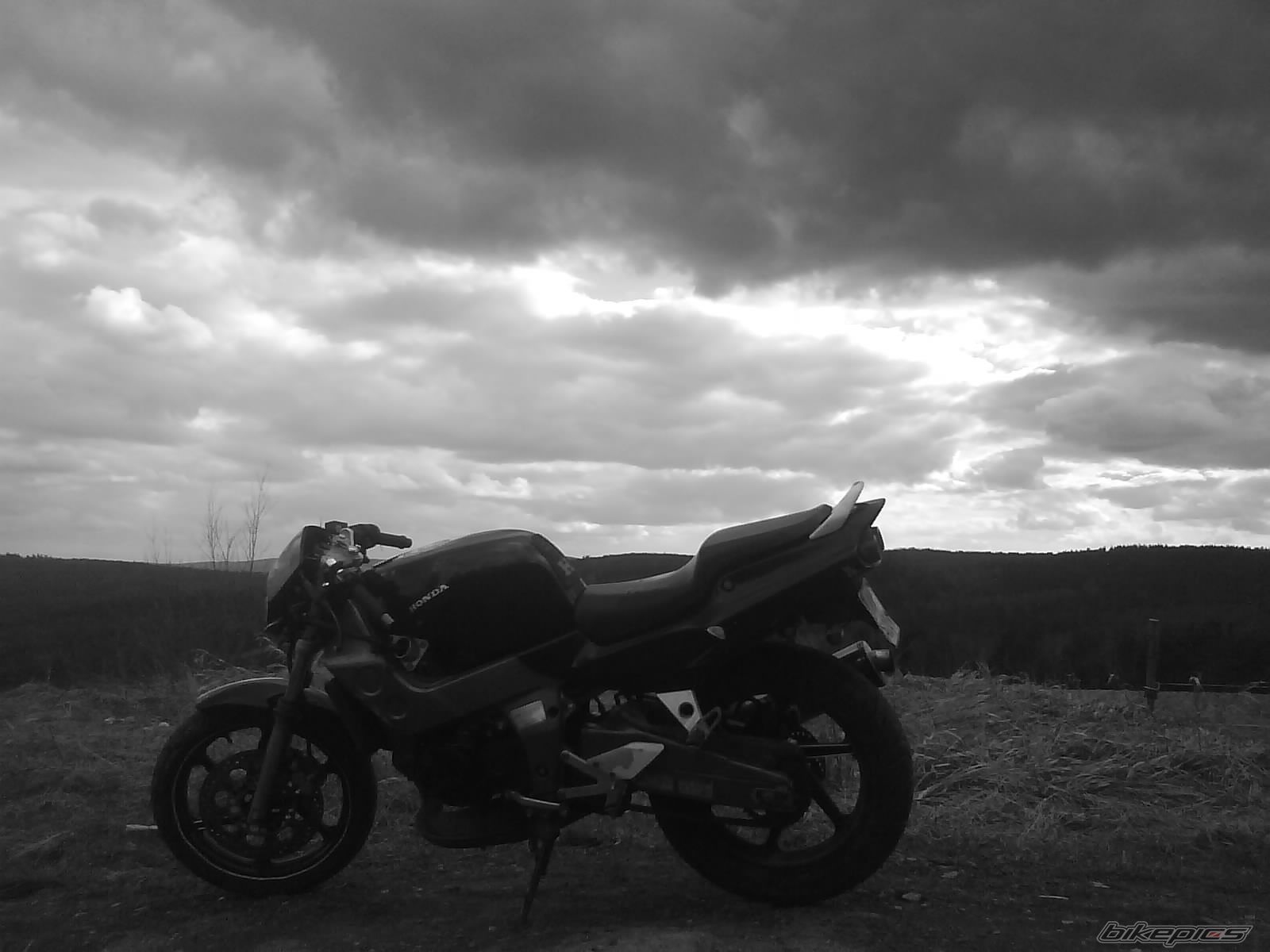 Photo 1227127