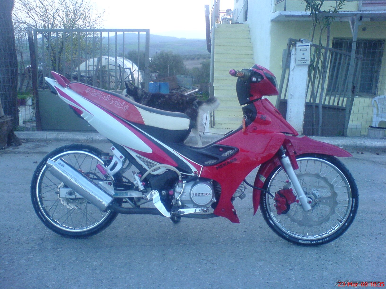 Photo 1227163