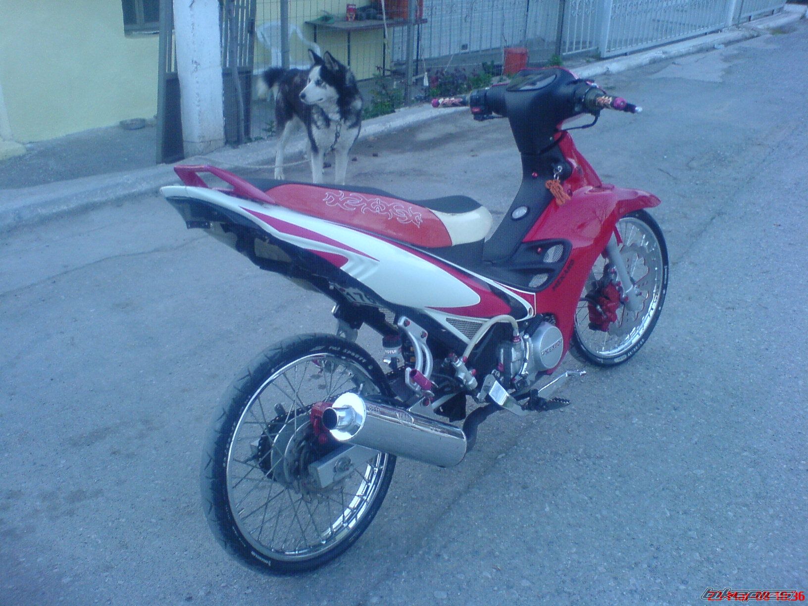 Photo 1227165