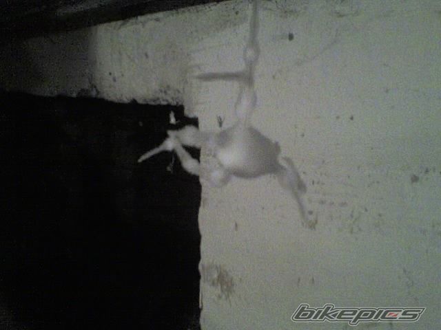 Bike Photo 1227268