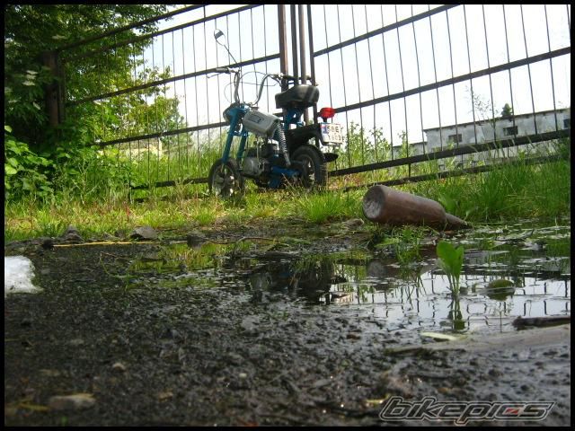 Photo 1227321