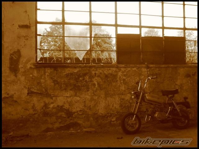 Photo 1227326